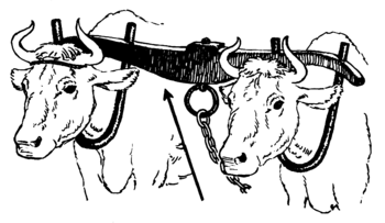 Line art drawing of a yoke