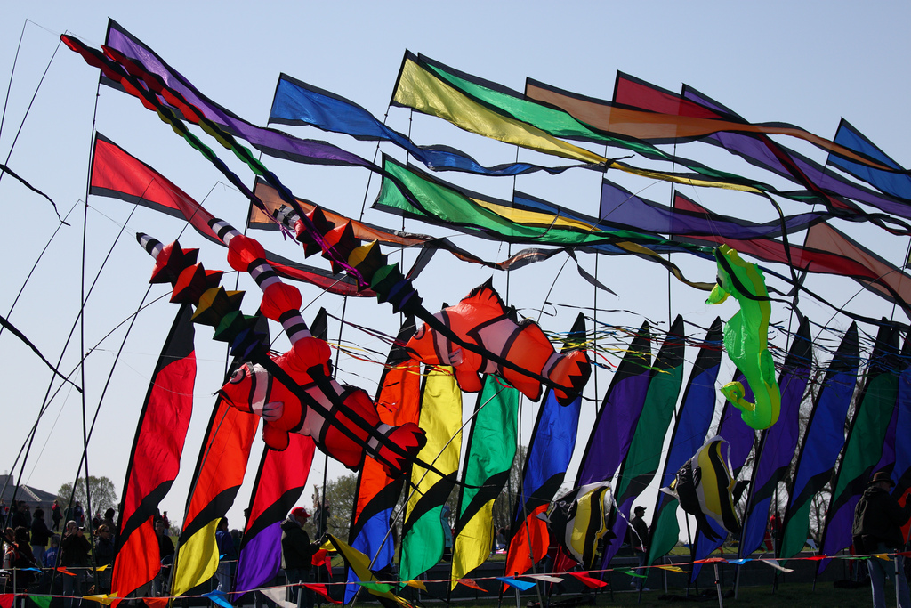 So many banners.... Which one should we follow, if any at all? (Mr.TinDC, CC-ND.)