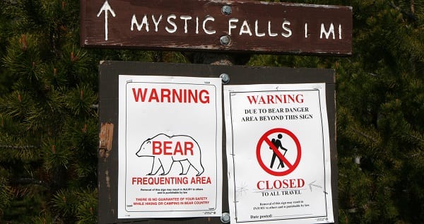 signs warning of bears in the area