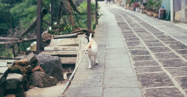 ed stetzer moseying past disaster and rubble
