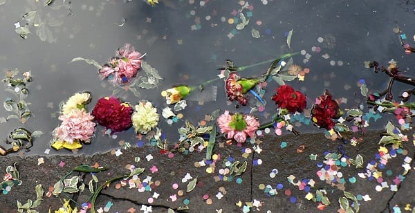the flowers are drowning