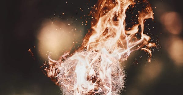 the fire flower of narcissistic rage