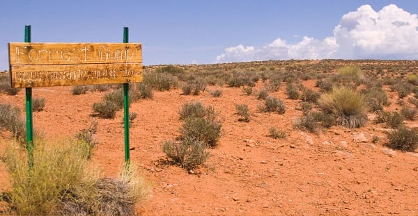 forrest gump and his legacy