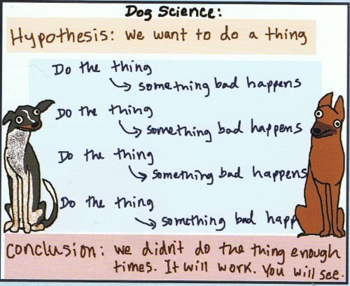 dog science just do the thing enough and it will work