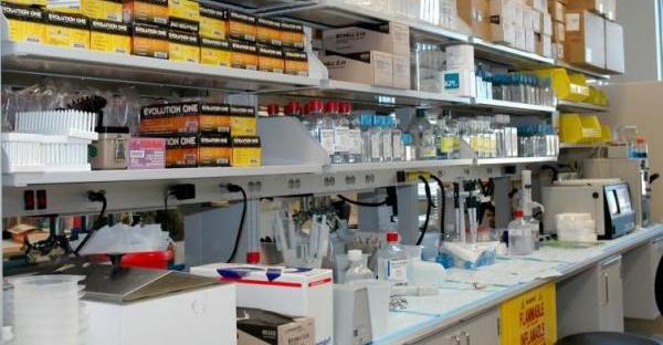 a busy laboratory scene