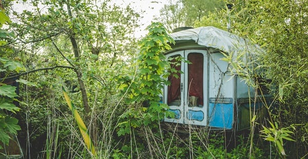 all we are is weeds around the abandoned bus