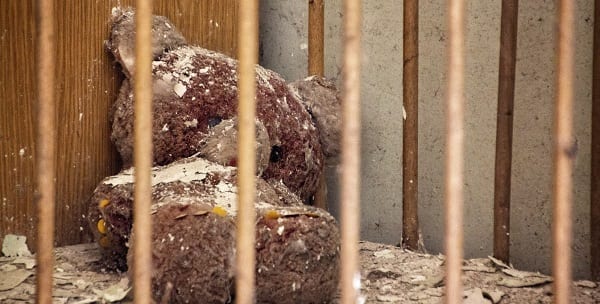 a decaying teddy bear in a crib in pripyat
