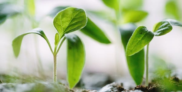 the tipping point is long gone