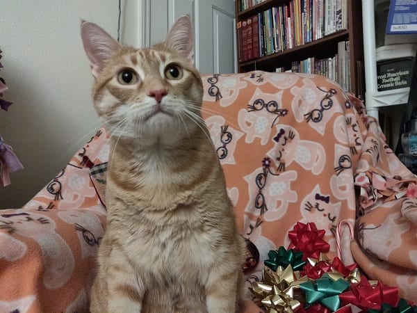 christmas