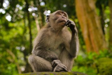 thinking about the endtimes again, and again | roll to disbelieve