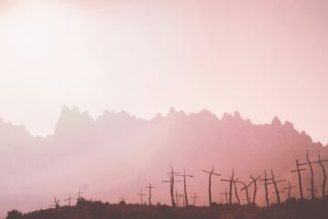 pink skies in morning, sailormoon take warning | roll to disbelieve