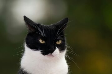 this is why I keep saying it | roll to disbelieve