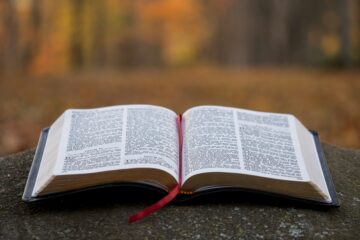 america's favorite book to pretend to value | roll to disbelieve