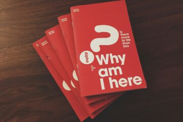 what we wondered every video | roll to disbelieve